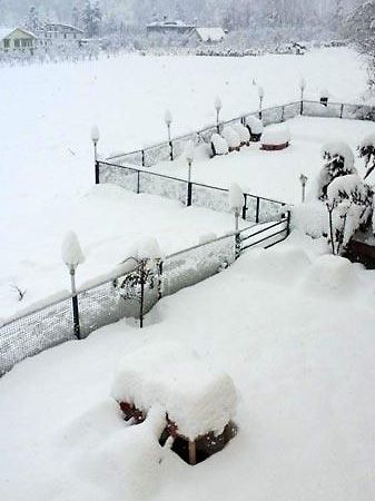 מנאלי Hotel Mountain Inn מראה חיצוני תמונה